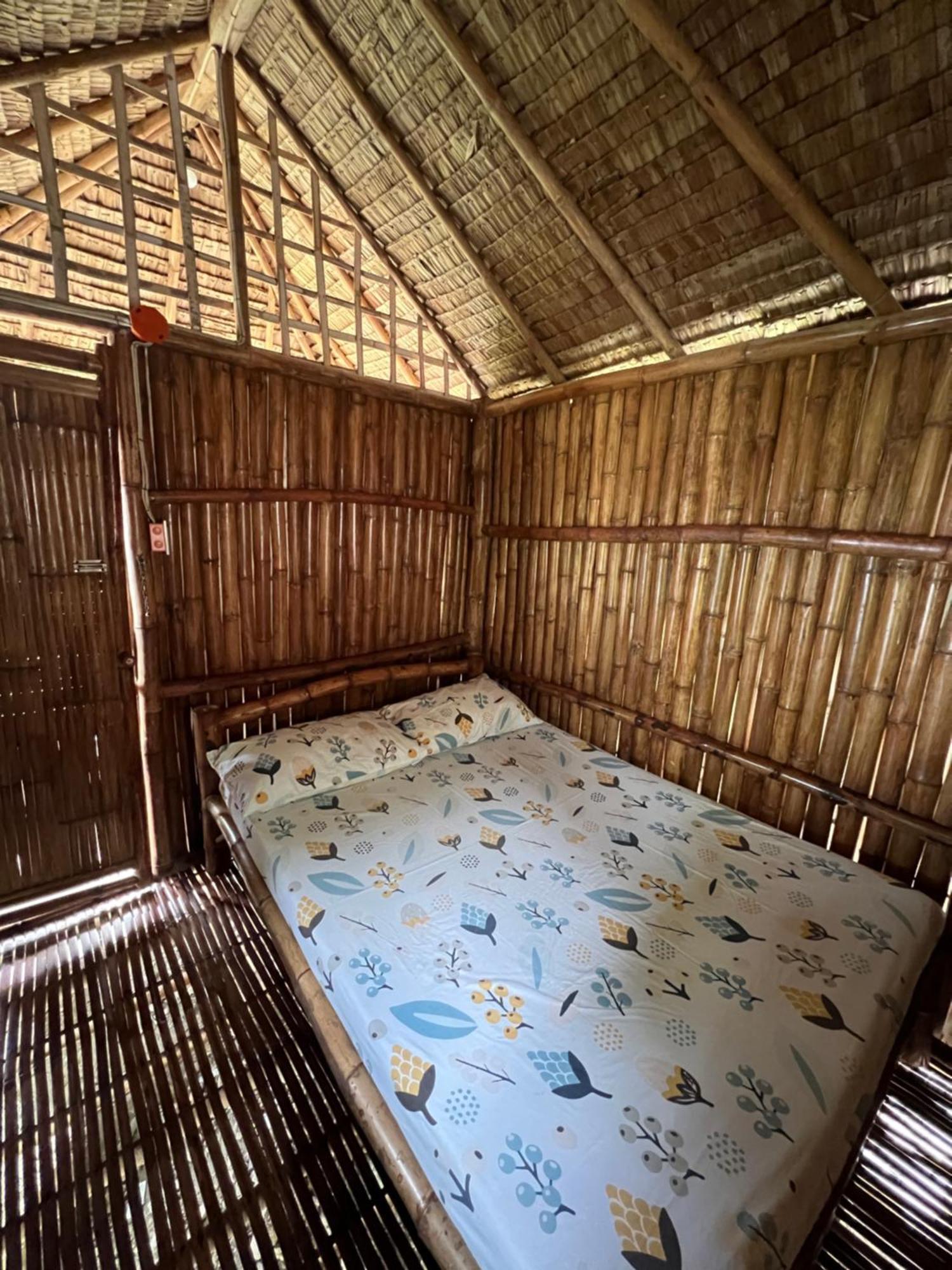 Sharky Hostel Oslob Ngoại thất bức ảnh