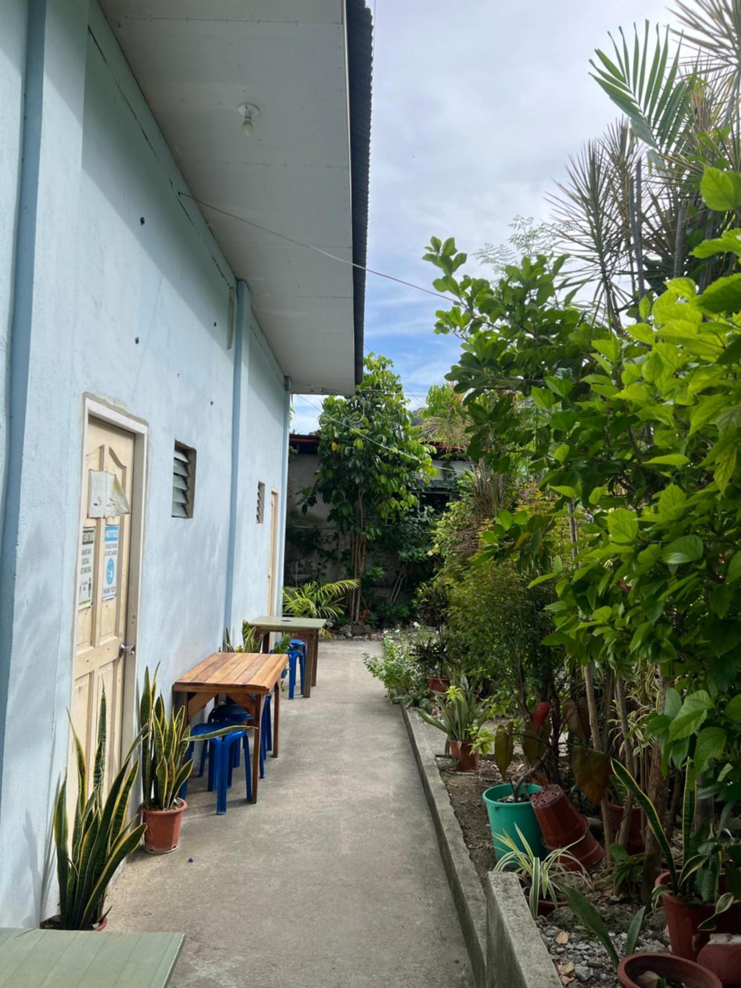 Sharky Hostel Oslob Ngoại thất bức ảnh