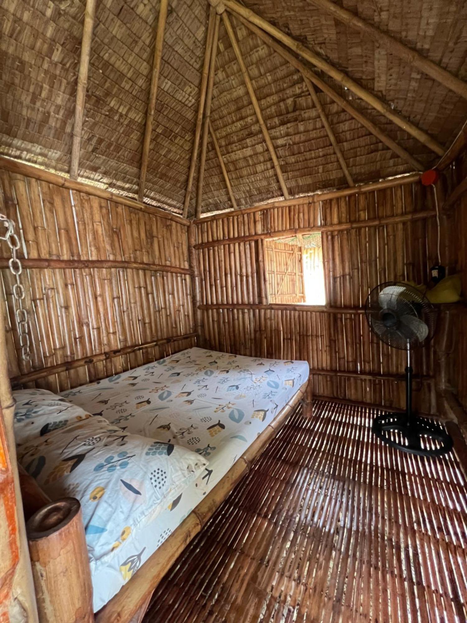 Sharky Hostel Oslob Ngoại thất bức ảnh
